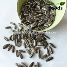 names of edible seeds in china